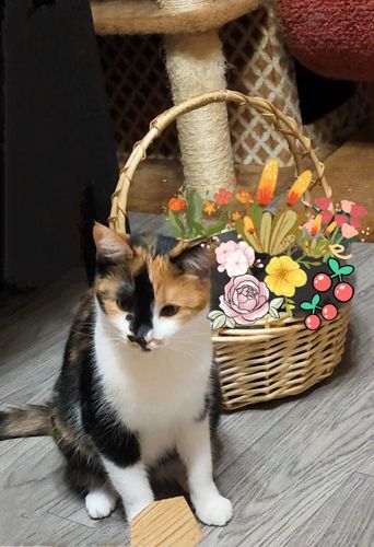 undefined