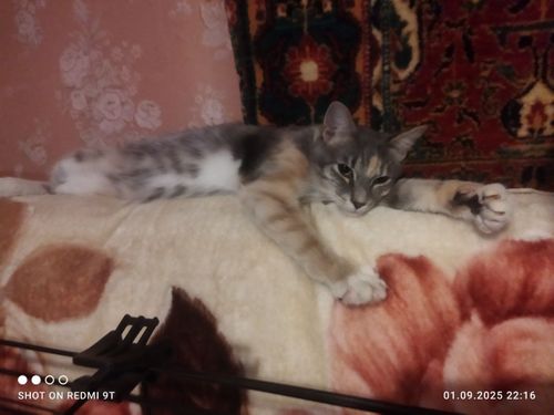 undefined