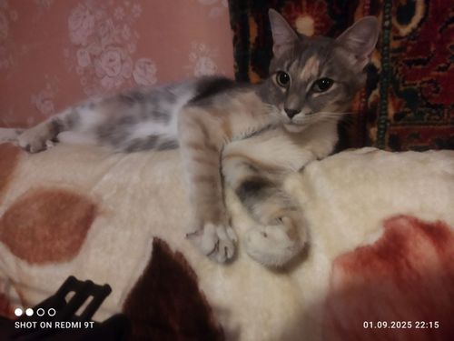 undefined